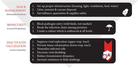 The Latest Vaccines Aimed at Preserving Animal Health | Kemin EMENA