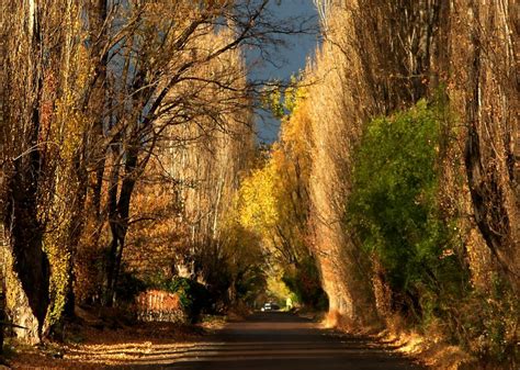 Postales que reflejan porqué no es lo mismo el otoño en Mendoza - Mendoza Post