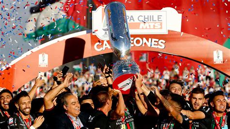 El encuentro, jugado en el estadio san carlos. Palestino se coronó campeón de la Copa Chile | soychile.cl