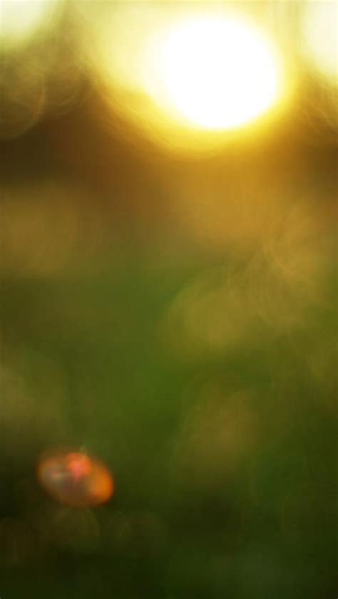 Nature Sunset Bokeh Blur World Iphone Wallpapers Free Download