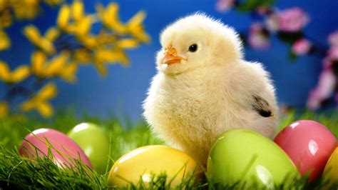 47 Easter Wallpaper And Screensavers