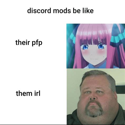 The Best 10 Funny Pfp For Discord
