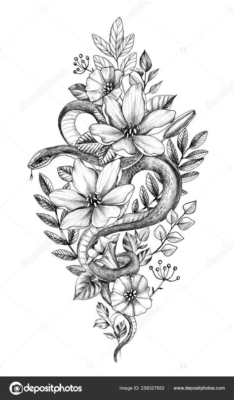 Live snake plant, sansevieria trifasciata laurentii, fully rooted indoor house plant in pot, mother in law tongue sansevieria plant, potted succulent plants, sansevieria laurentii by plants for pets. Hand Drawn Monochrome Snake among Flowers ⬇ Stock Photo ...