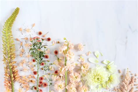 See more ideas about iphone wallpaper, flower aesthetic, floral wallpaper. Aesthetic Floral Desktop Wallpapers - Wallpaper Cave