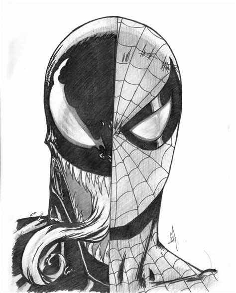 Spiderman Vs Venom Drawings