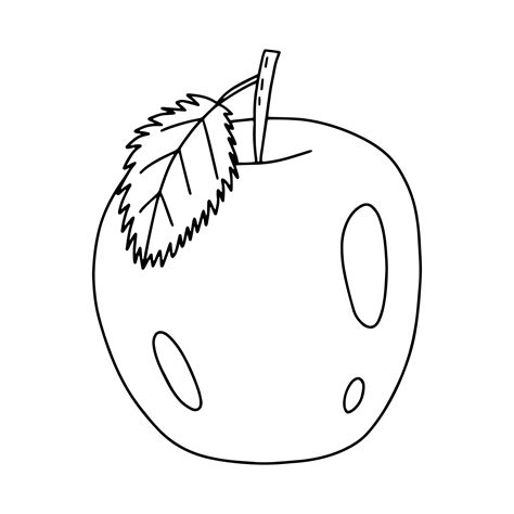 Hand Drawn Apple Doodle Illustration Vector Simple Apple Sketch