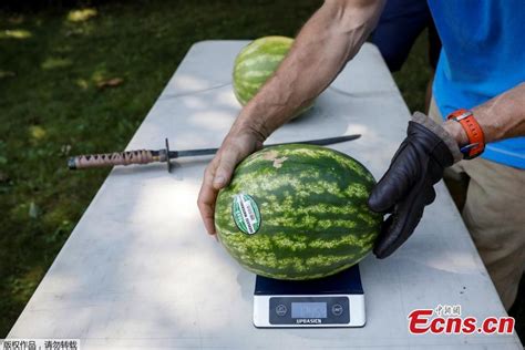 Man Challenges Guinness Record For Slicing Watermelons On Stomach