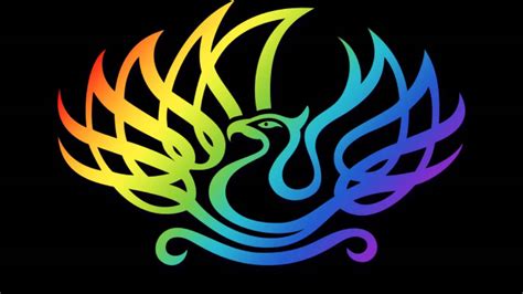 Rainbow Phoenix 10 Août 2015 Youtube