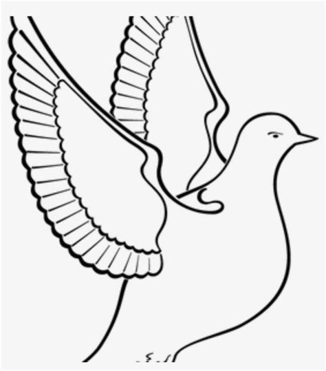 Sketsa Burung Merpati Sketsa Burung 28 Sketsa Sepasang Burung