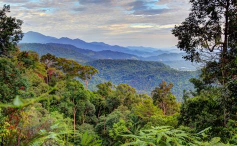 Penuhkan saku anda untuk melabur sekehendak hati.hiks! Bukit Larut atau Bukit Maxwell terletak di Taiping, Perak ...