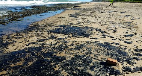 Large Blots Of Oil Stain 130 Brazilian Beaches Prothom Alo