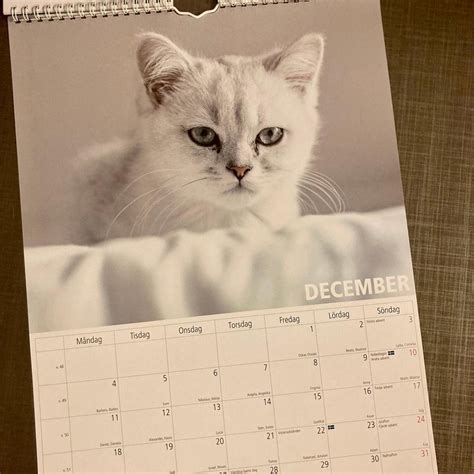 Se Produkter Som Liknar Ny Kalender Med Katter 2023 A På Tradera
