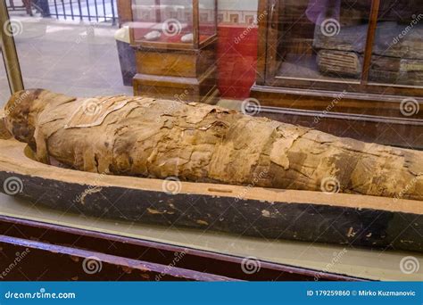 mummy in the museum of egyptian antiquities egyptian museum in cairo egypt editorial image