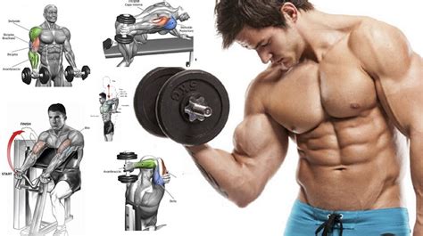 Best Arm Workouts To Build Muscle Fast Hardgainer Tips All