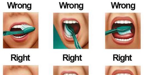 You're Brushing Your Teeth Wrong! Here's How To Do It...