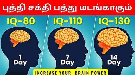 how to improve your brain power time for greatness tamil youtube