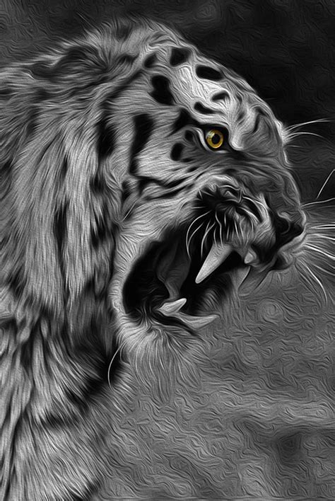 Angry Tiger 2 Digital Art By Pascaloup Art Fine Art America