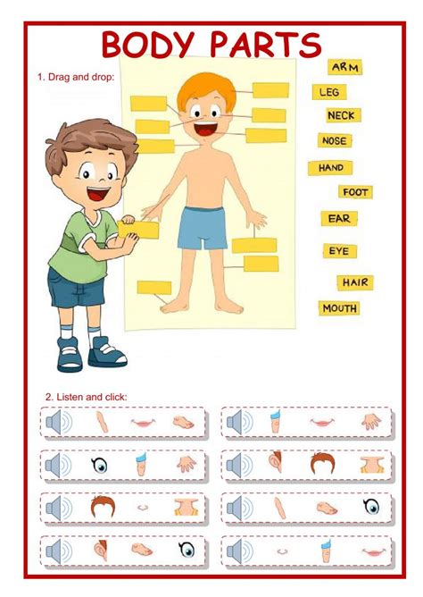 Pin On The Parts Of The Body Esl English Worksheets