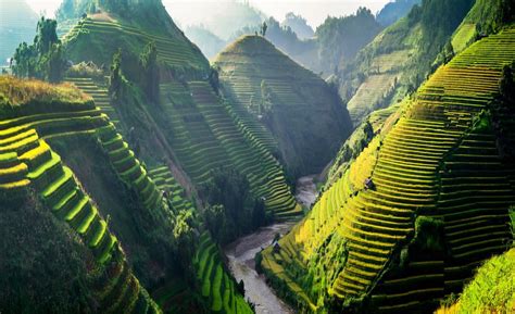 Vietnam Must See Sun Light On Terraces Rice Fields Rice Fields In
