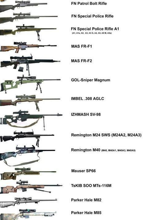 Different Types Of Guns And Their Information Pdf Lasopatheory