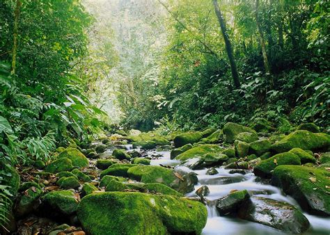 Visit Monteverde Cloud Forest Costa Rica Audley Travel