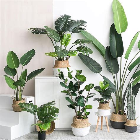 Check spelling or type a new query. $1.99 AUD - 1 Bouquet Mexican Artificial Plants Green ...