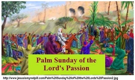 Mar 25 2018 Passion Palm Sunday Reflections By Bob