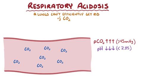 Respiratory movements are controlled by respiratory center in the medulla & this center is controlled by afferent impulses from cerebral cortex, heat stagnant anoxia play a role in the production of this type of dyspnea. Respiratory Acidosis - Endocrine and Metabolic Disorders ...