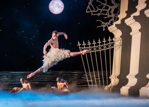 Matthew Bournes Swan Lake Review A Wild Ride Matthew Bourne The