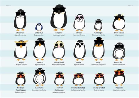 Fish and squid the fiordland penguin lives in the temperate rainforest of the southwest coast of the south island and stewart island, new zealand, where it is endemic. Happy Penguin Awareness Day!! | Pokémon Amino