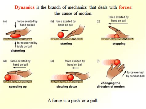 Unit 2 Dynamics Physics Project