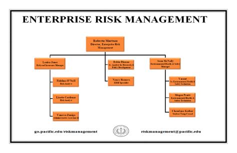 Enterprise Risk Management Organizational Chart Templates At