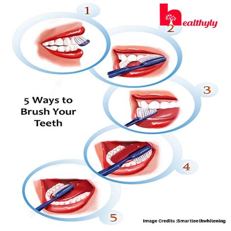 5 steps to brush your teeth properly for a healthy mouth healthyly