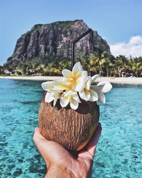 A Person Holding Up A Coconut With Flowers On It In Front Of An Island