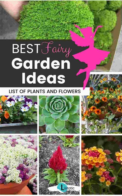 15 Of The Best Fairy Garden Plants And Flowers ⋆ Listotic