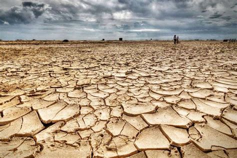 Kyklos Tres Consecuencias Del Cambio Climático Que Ya Se Sienten En Chile