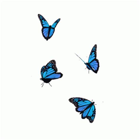 Butterfly Blue Sticker Butterfly Blue Transparent Discover Share