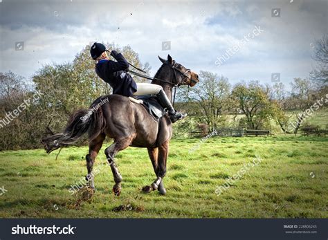 Horse Rider Falling Off Horse Stock Photo 228806245 Shutterstock