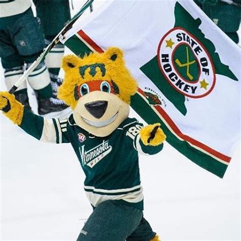 Backpack pals are uniquely designed plush mascots of your favorite teams. Nordy! | Minnesota wild, Mascot, Minnesota vikings