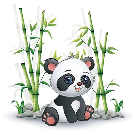 Royalty Free Baby Panda Clip Art Vector Images And Illustrations Istock
