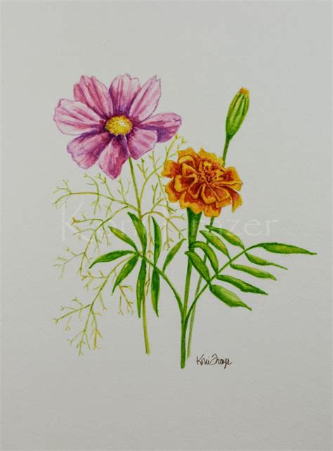 We have compiled all of the birth month flowers and the meanings of each one. Cosmos and marigold, October birthday flower, original ...