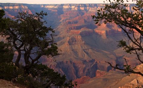 Grand Canyon Colors Free Stock Photo Public Domain Pictures