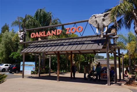 Oakland Zoo Set To Reopen February 3