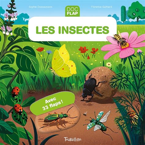 Les Insectes Éditions Tourbillon Livres Jeunesse
