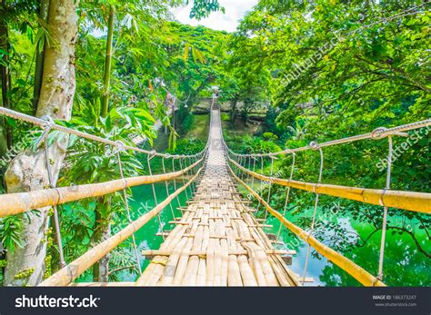 Bamboo Pedestrian Suspension Bridge Over River In Tropical Forest Stock