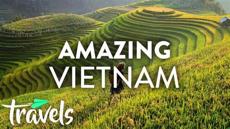 Reasons You Should Travel To Vietnam This Year Articles On