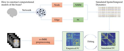Electronics Free Full Text Multiscale Brain Network Models And Their Applications In