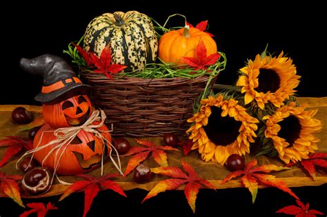 Download Basket Gourd Sunflower Jack O Lantern Pumpkin Fall