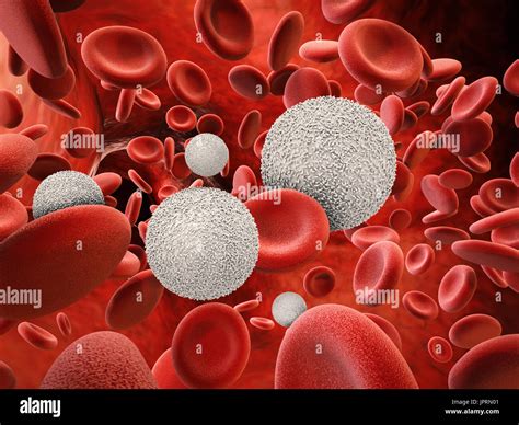 3d Rendering White Blood Cells With Red Blood Cells Stock Photo Alamy
