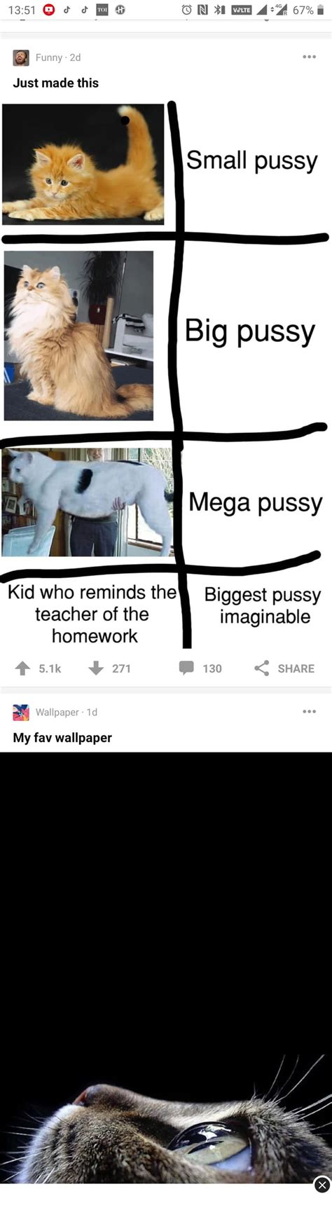 Pussy Watching Pussies 9gag